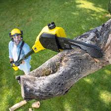 Best Lawn Mowing  in Georgetown, GA